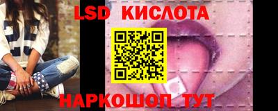 сатива Кандалакша