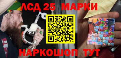 сатива Кандалакша