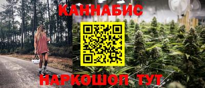 apvp Канаш