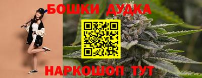 apvp Канаш