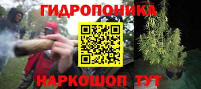 apvp Канаш