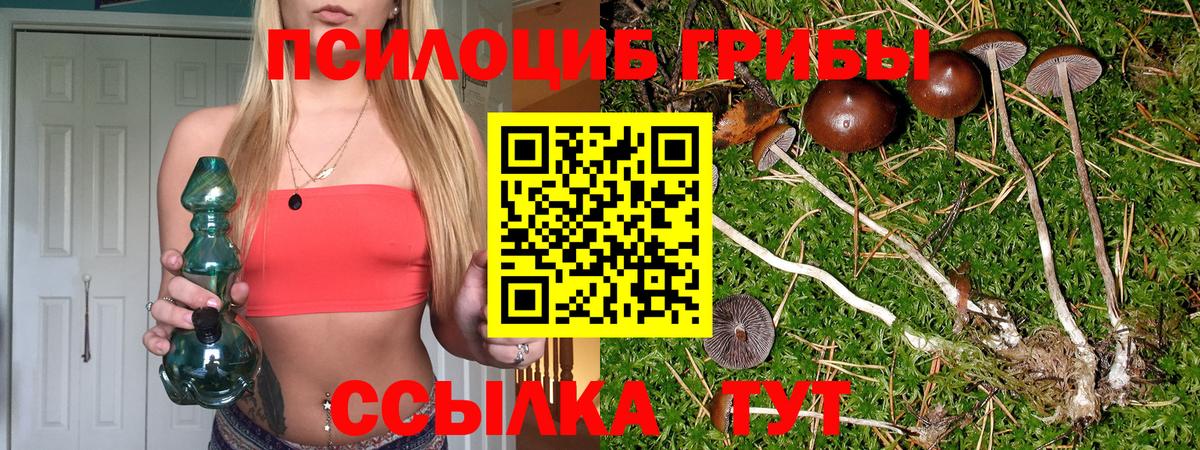 Галлюциногенные грибы Psilocybine cubensis  Псилоцибиновые грибы Psilocybine cubensis  Костомукша  Вход с VPN 